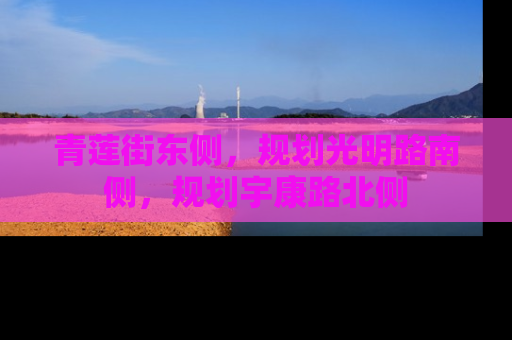青莲街东侧，规划光明路南侧，规划宇康路北侧