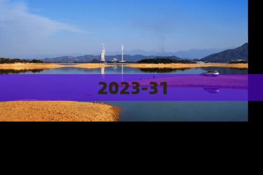 2023-31