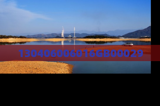 130406006016GB00029