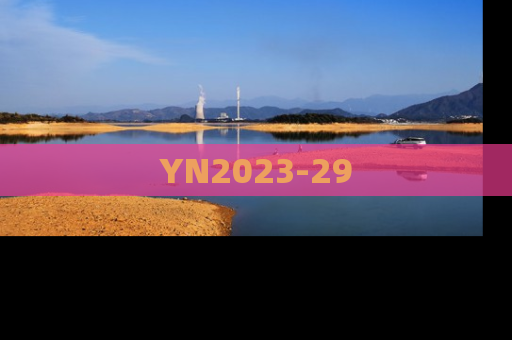 YN2023-29
