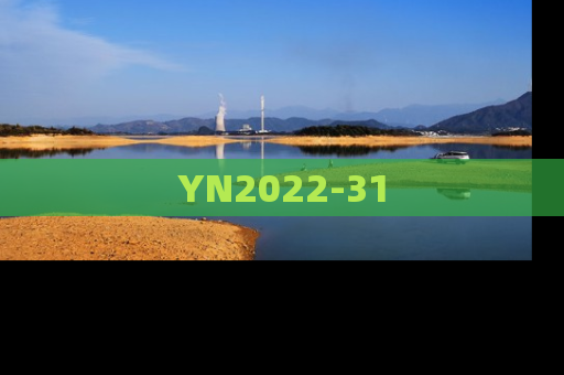 YN2022-31