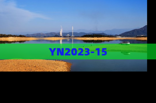 YN2023-15