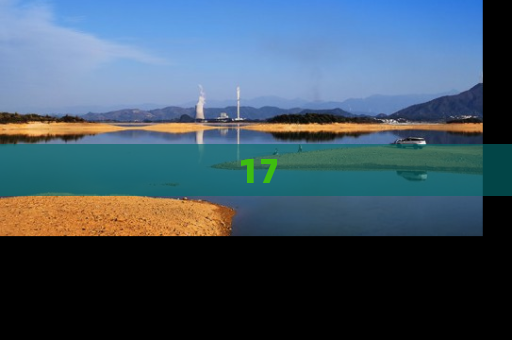 17