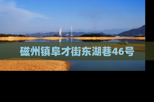 磁州镇阜才街东湖巷46号