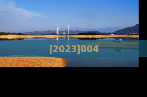 [2023]004