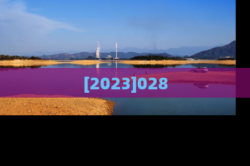 [2023]028