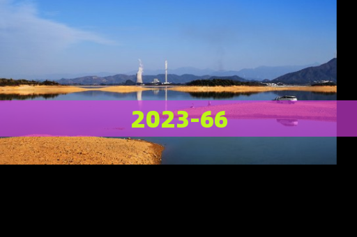 2023-66