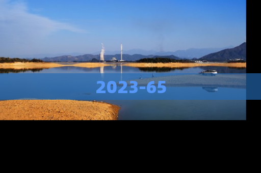 2023-65
