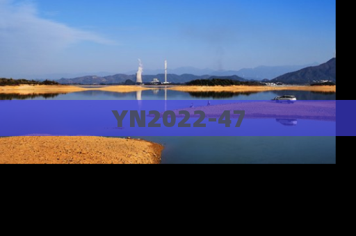 YN2022-47