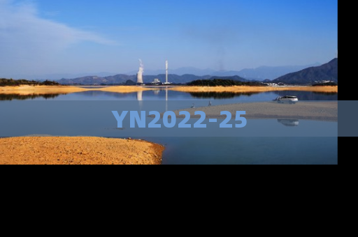 YN2022-25