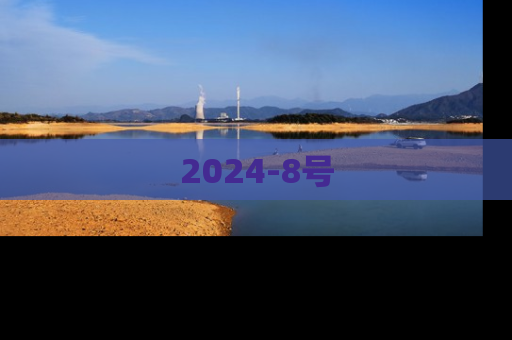 2024-8号
