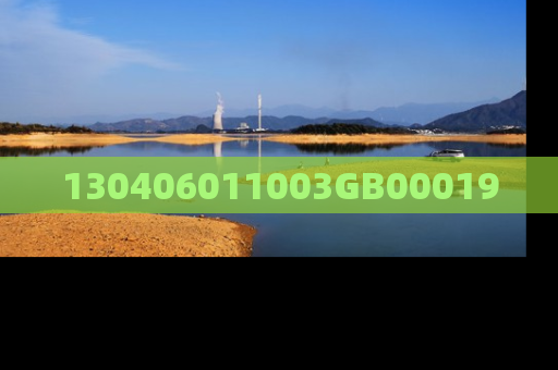 130406011003GB00019