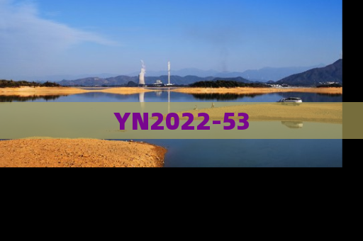 YN2022-53