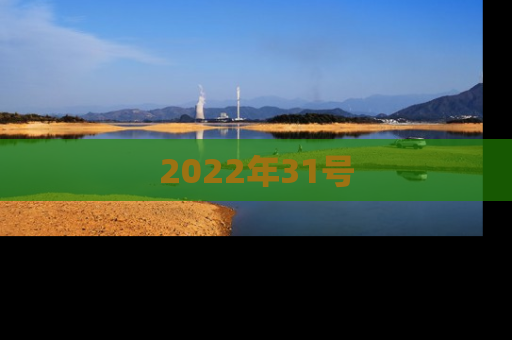 2022年31号