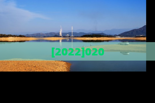 [2022]020