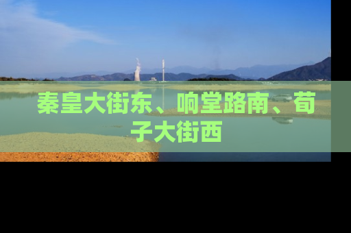 秦皇大街东、响堂路南、荀子大街西