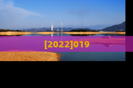 [2022]019