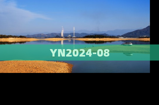 YN2024-08