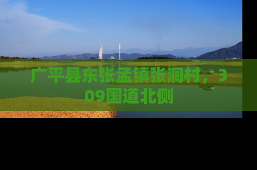 广平县东张孟镇张洞村，309国道北侧