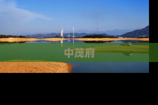 中茂府