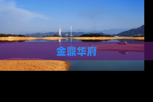 金鼎华府
