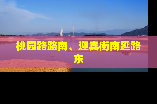 桃园路路南、迎宾街南延路东