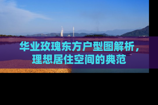 华业玫瑰东方户型图解析，理想居住空间的典范