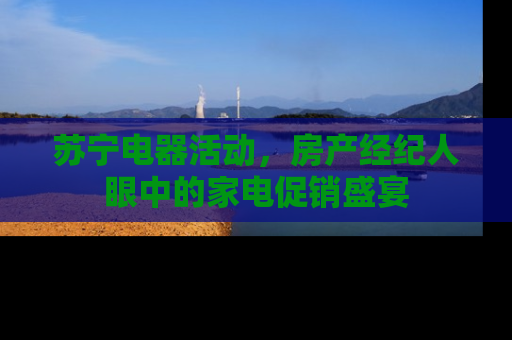 苏宁电器活动，房产经纪人眼中的家电促销盛宴