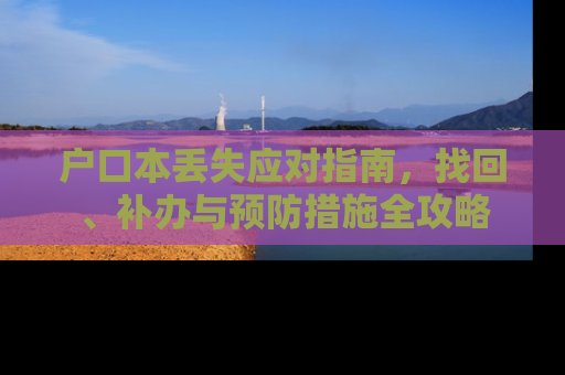户口本丢失应对指南，找回、补办与预防措施全攻略