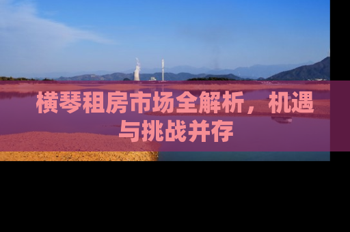 横琴租房市场全解析，机遇与挑战并存