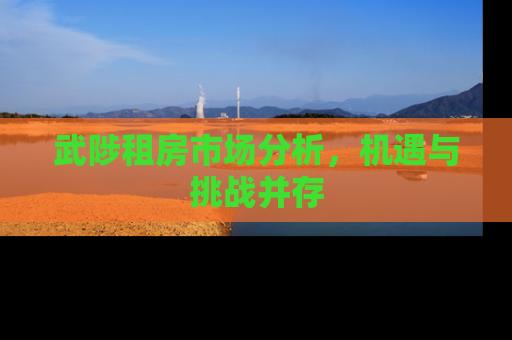 武陟租房市场分析，机遇与挑战并存