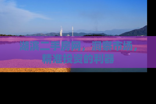 湖滨二手房网，洞察市场，精准投资的利器