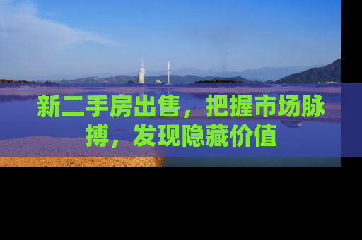 新二手房出售,把握市场脉搏,发现隐藏价值 新二手房出售,把握市场脉搏,发现隐藏价值