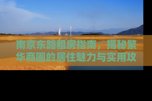 南京东路租房指南，揭秘繁华商圈的居住魅力与实用攻略