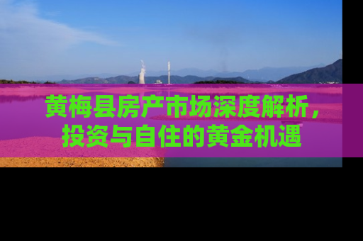 黄梅县房产市场深度解析，投资与自住的黄金机遇