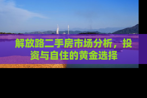 解放路二手房市场分析，投资与自住的黄金选择