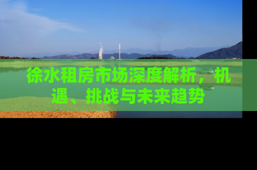 徐水租房市场深度解析，机遇、挑战与未来趋势