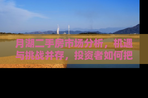 月湖二手房市场分析，机遇与挑战并存，投资者如何把握？
