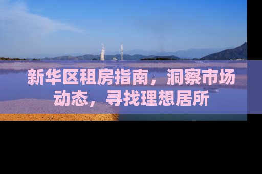 新华区租房指南，洞察市场动态，寻找理想居所