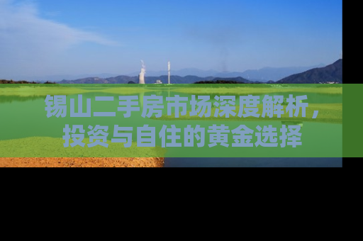 锡山二手房市场深度解析，投资与自住的黄金选择
