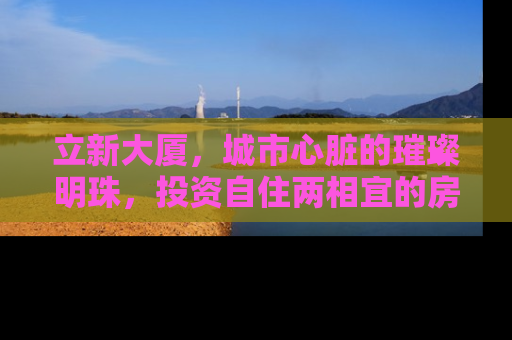 立新大厦，城市心脏的璀璨明珠，投资自住两相宜的房产新选择