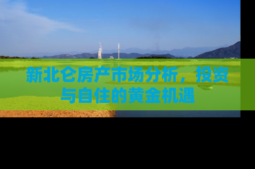 新北仑房产市场分析，投资与自住的黄金机遇