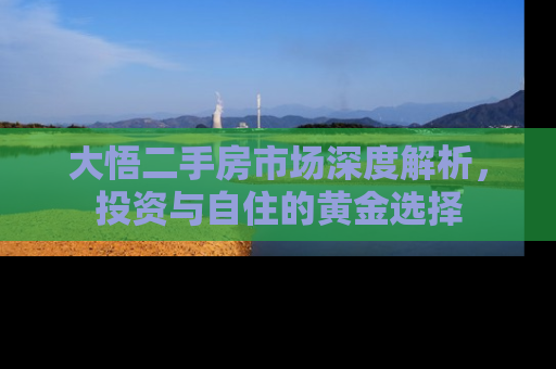 大悟二手房市场深度解析，投资与自住的黄金选择