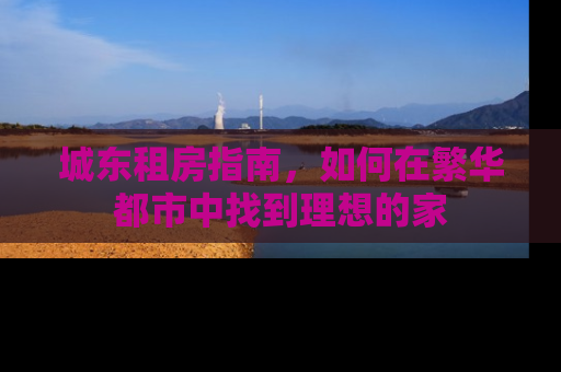 城东租房指南，如何在繁华都市中找到理想的家