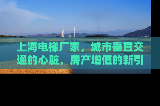 上海电梯厂家，城市垂直交通的心脏，房产增值的新引擎
