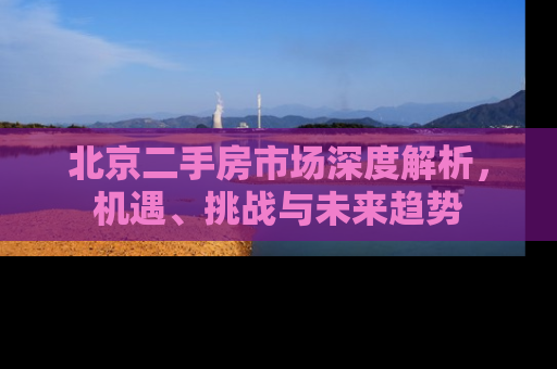 北京二手房市场深度解析，机遇、挑战与未来趋势