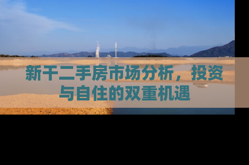 新干二手房市场分析，投资与自住的双重机遇