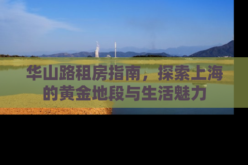 华山路租房指南，探索上海的黄金地段与生活魅力