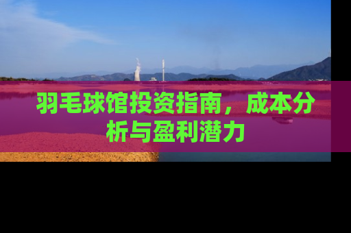 羽毛球馆投资指南，成本分析与盈利潜力