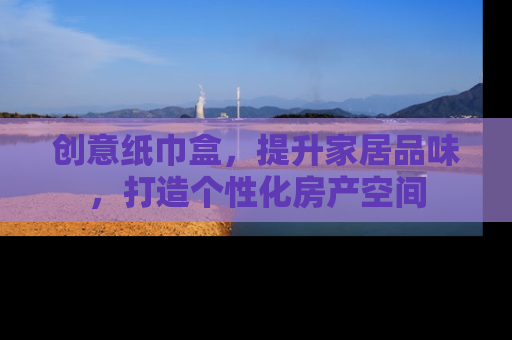 创意纸巾盒，提升家居品味，打造个性化房产空间